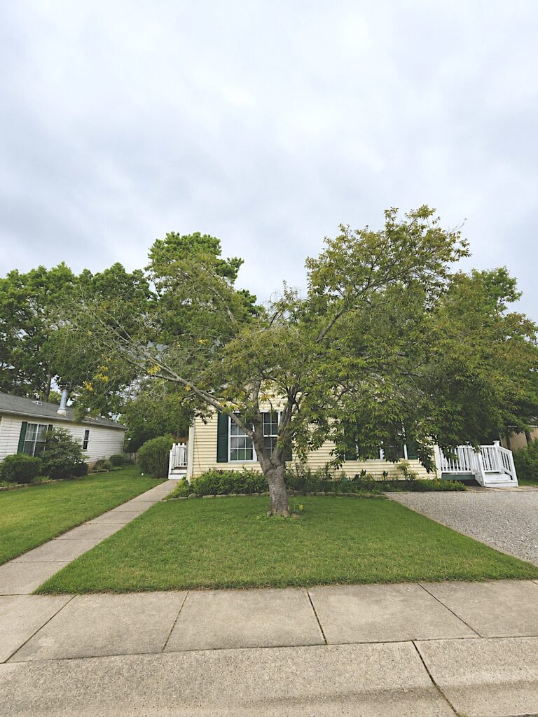 64 Hickory Lane Mays Landing NJ 08330